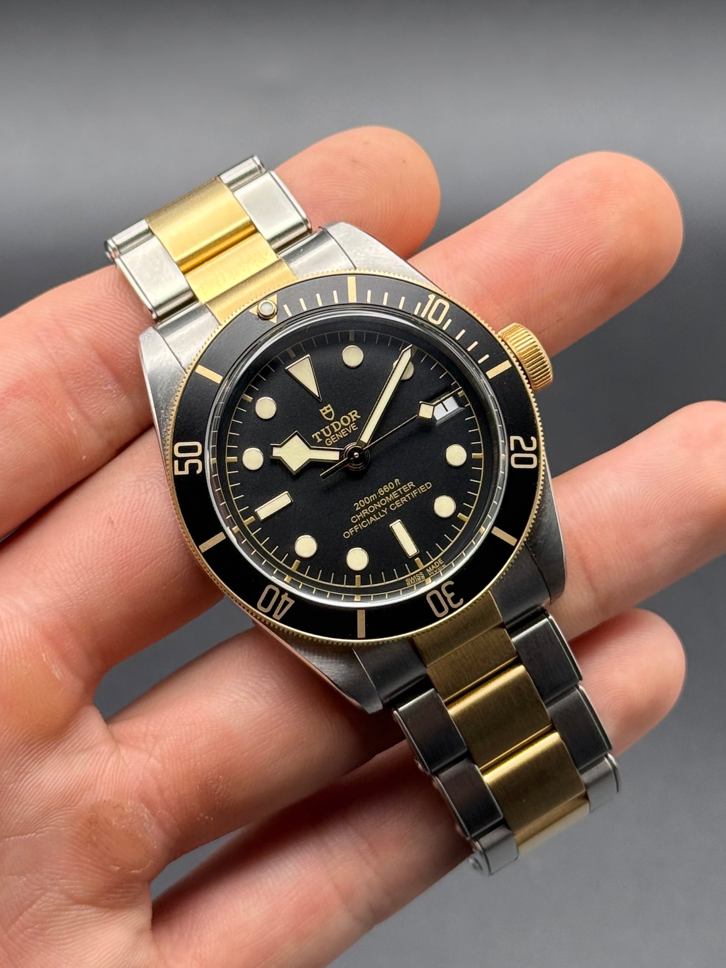 Tudor Black Bay S&G 79733N 2026 Box and Papers