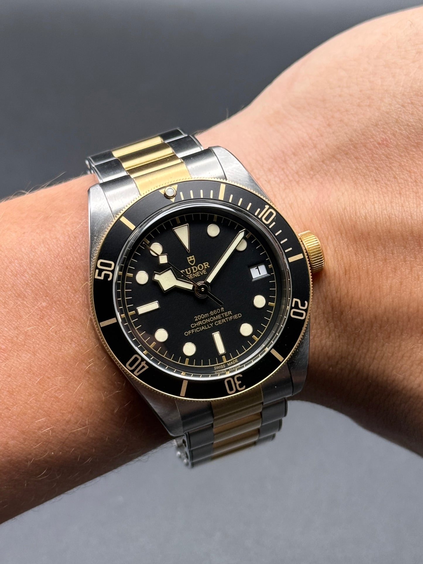 Tudor Black Bay S&G 79733N 2026 Box and Papers